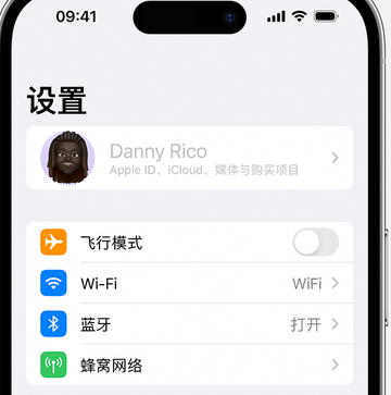 干驿镇appleID维修服务iPhone设置中Apple ID显示为灰色无法使用 