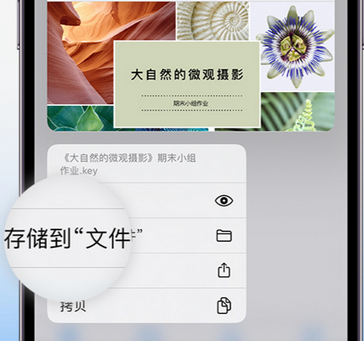 干驿镇apple维修中心分享iPhone文件应用中存储和找到下载文件