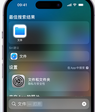 干驿镇apple维修中心分享iPhone文件应用中存储和找到下载文件