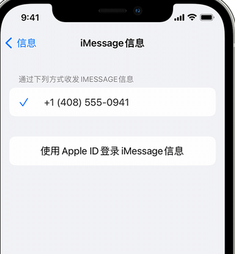 干驿镇apple维修iPhone上无法正常发送iMessage信息 