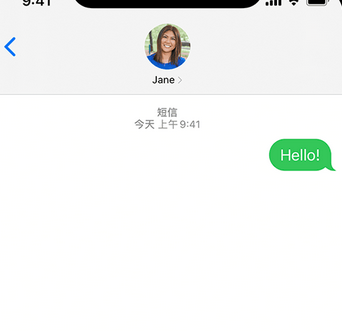 干驿镇apple维修iPhone上无法正常发送iMessage信息