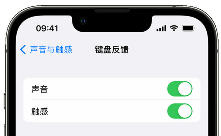 干驿镇苹果手机维修分享iPhone 14触感键盘使用方法 