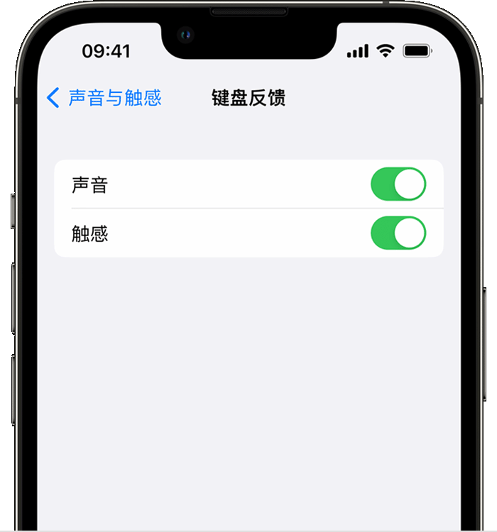 干驿镇苹果14维修店分享如何在 iPhone 14 机型中使用触感键盘 