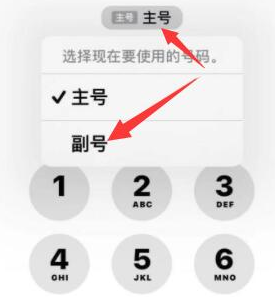 干驿镇苹果14维修店分享iPhone 14 Pro Max使用副卡打电话的方法 