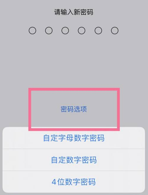 干驿镇苹果14维修分享iPhone 14plus设置密码的方法 