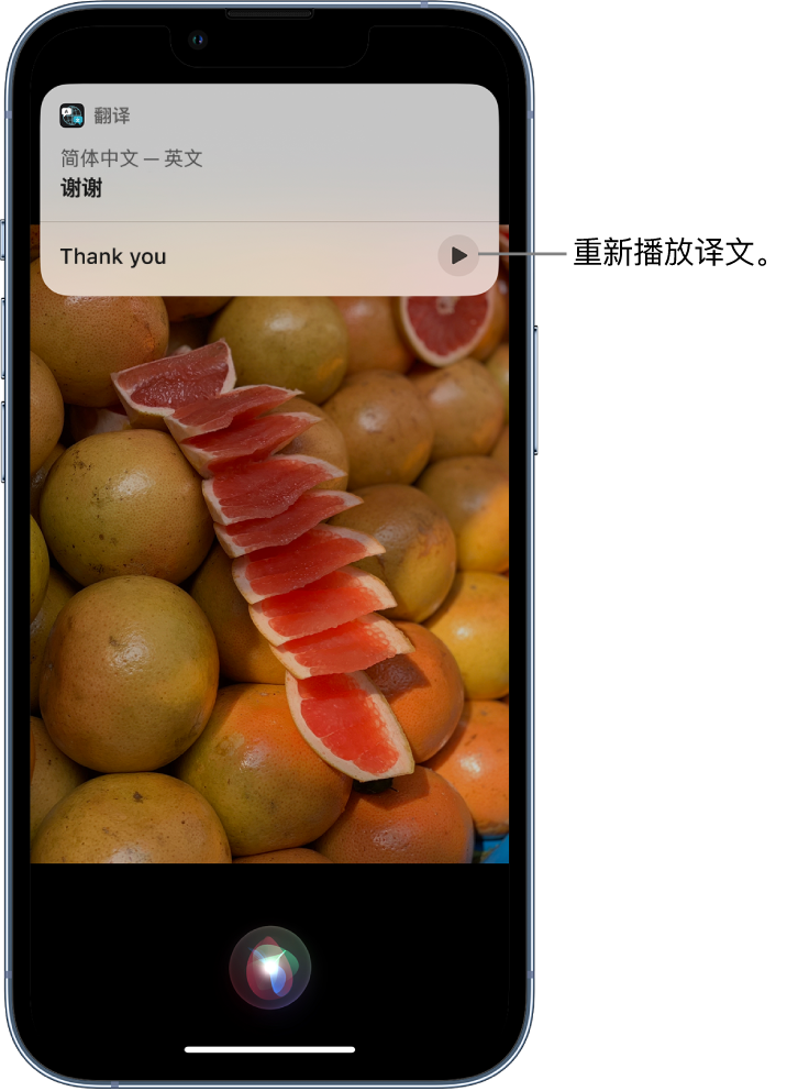 干驿镇苹果14维修分享 iPhone 14 机型中使用 Siri：了解 Siri 能帮你做什么 