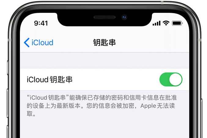 干驿镇苹果手机维修分享在 iPhone 上开启 iCloud 钥匙串之后会储存哪些信息 