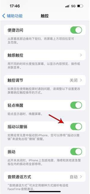 干驿镇苹果手机维修分享iPhone手机如何设置摇一摇删除文字 