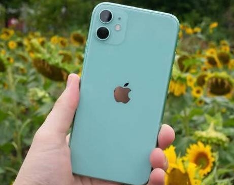 干驿镇苹果维修点分享iPhone 11锁屏密码认知与使用科普 